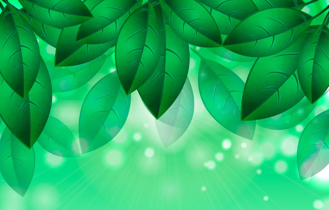 Photo wallpaper leaves, figure, green