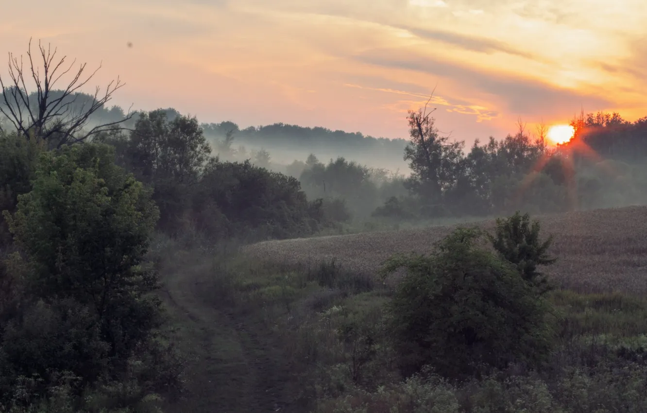 Photo wallpaper landscape, sunset, nature, Vitaly Kononov