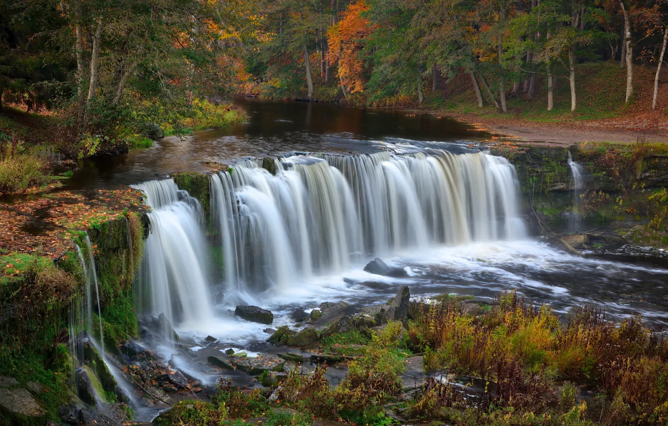 Photo wallpaper autumn, forest, trees, river, vegetation, waterfall, Estonia, Waterfall Keila