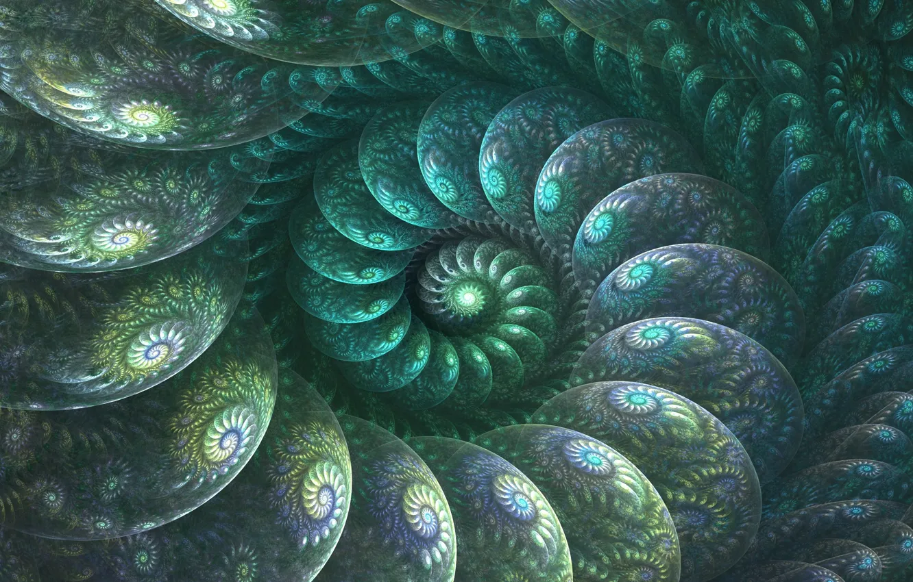 Photo wallpaper pattern, curls