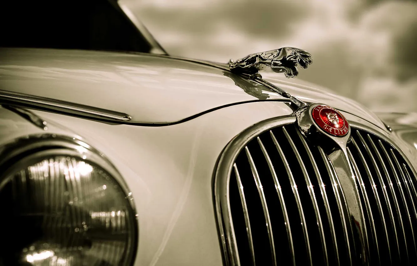 Photo wallpaper machine, Jaguar, mark