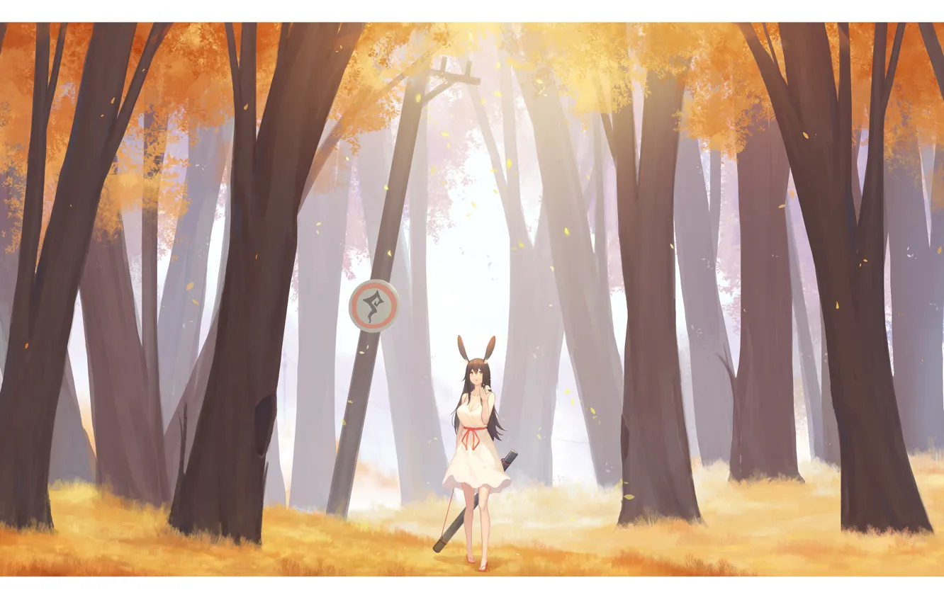 Photo wallpaper autumn, forest, girl, ears