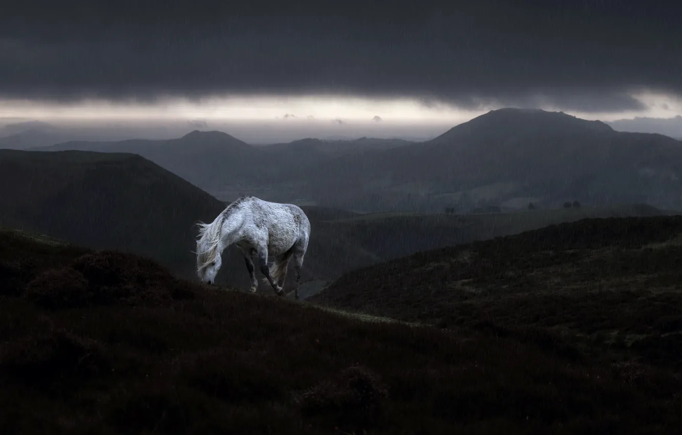Photo wallpaper mountains, rain, horse