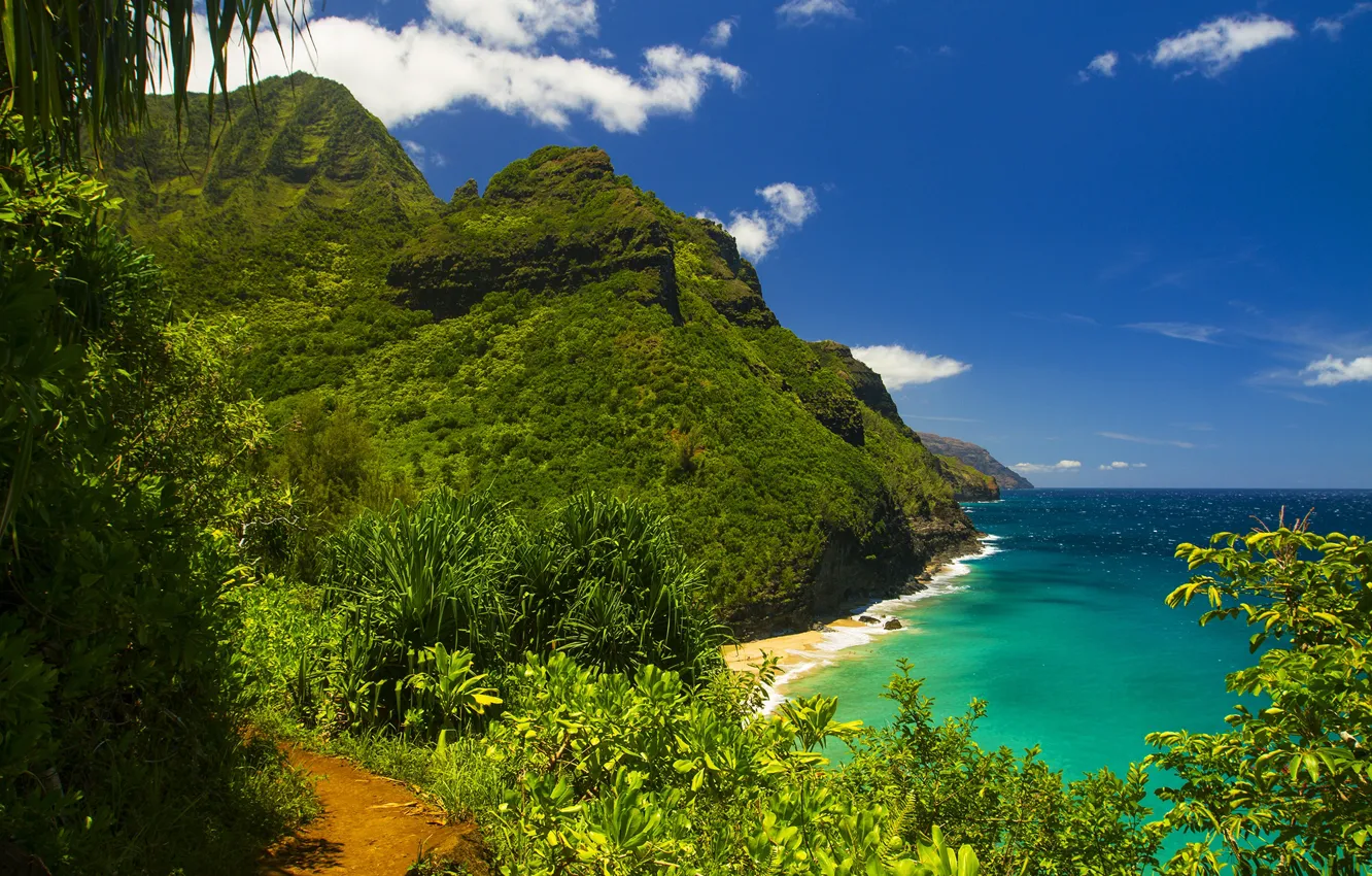 Photo wallpaper sea, greens, summer, mountains, shore