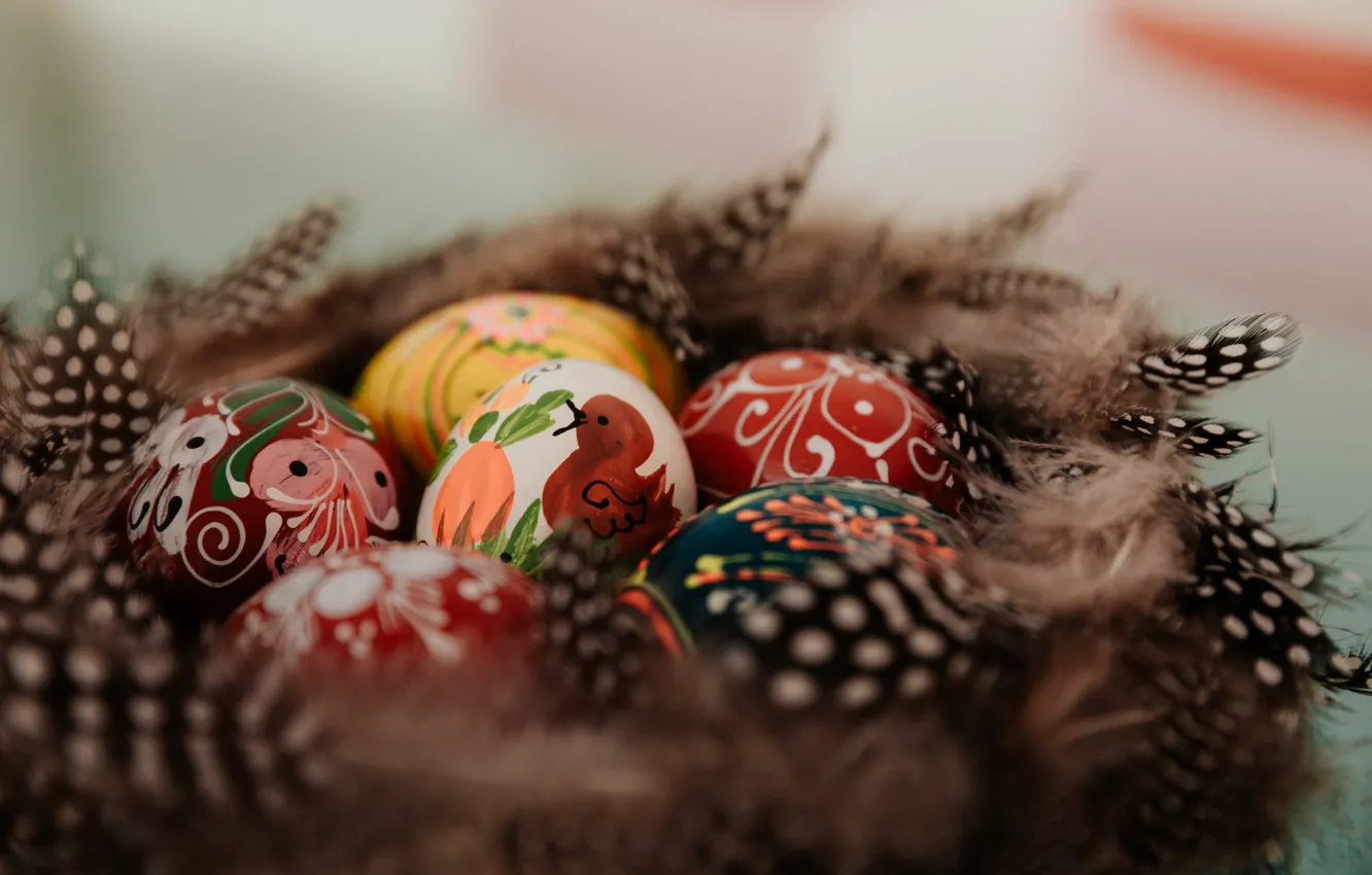 Photo wallpaper holiday, food, eggs, feathers, Easter, painted eggs