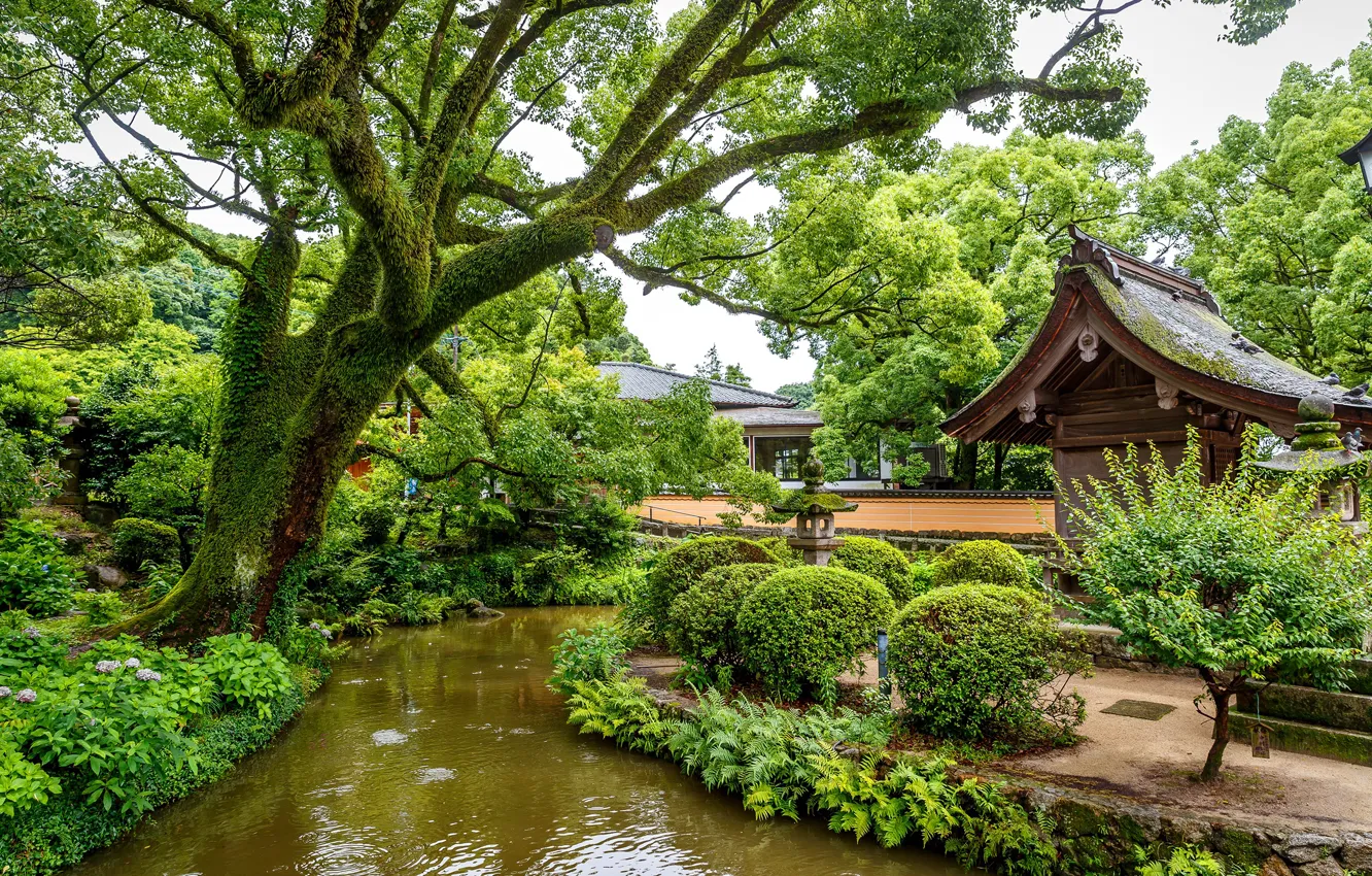 Photo wallpaper greens, trees, design, pond, Park, Singapore, the bushes