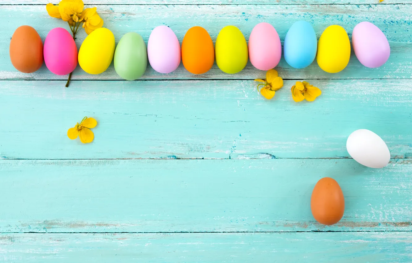 Photo wallpaper flowers, eggs, spring, colorful, Easter, flowers, spring, Easter