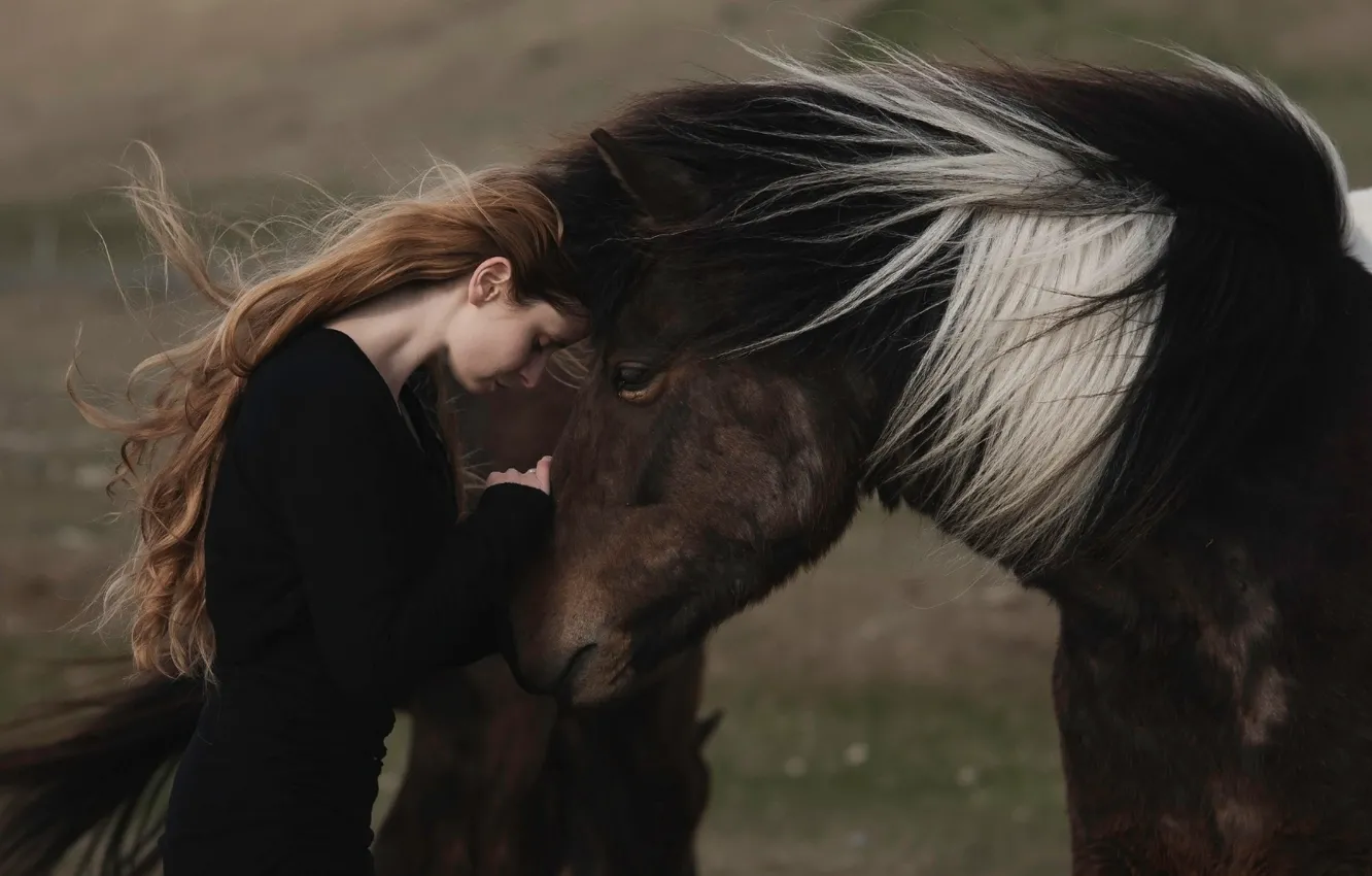 Photo wallpaper girl, horse, Alessandra Barilla