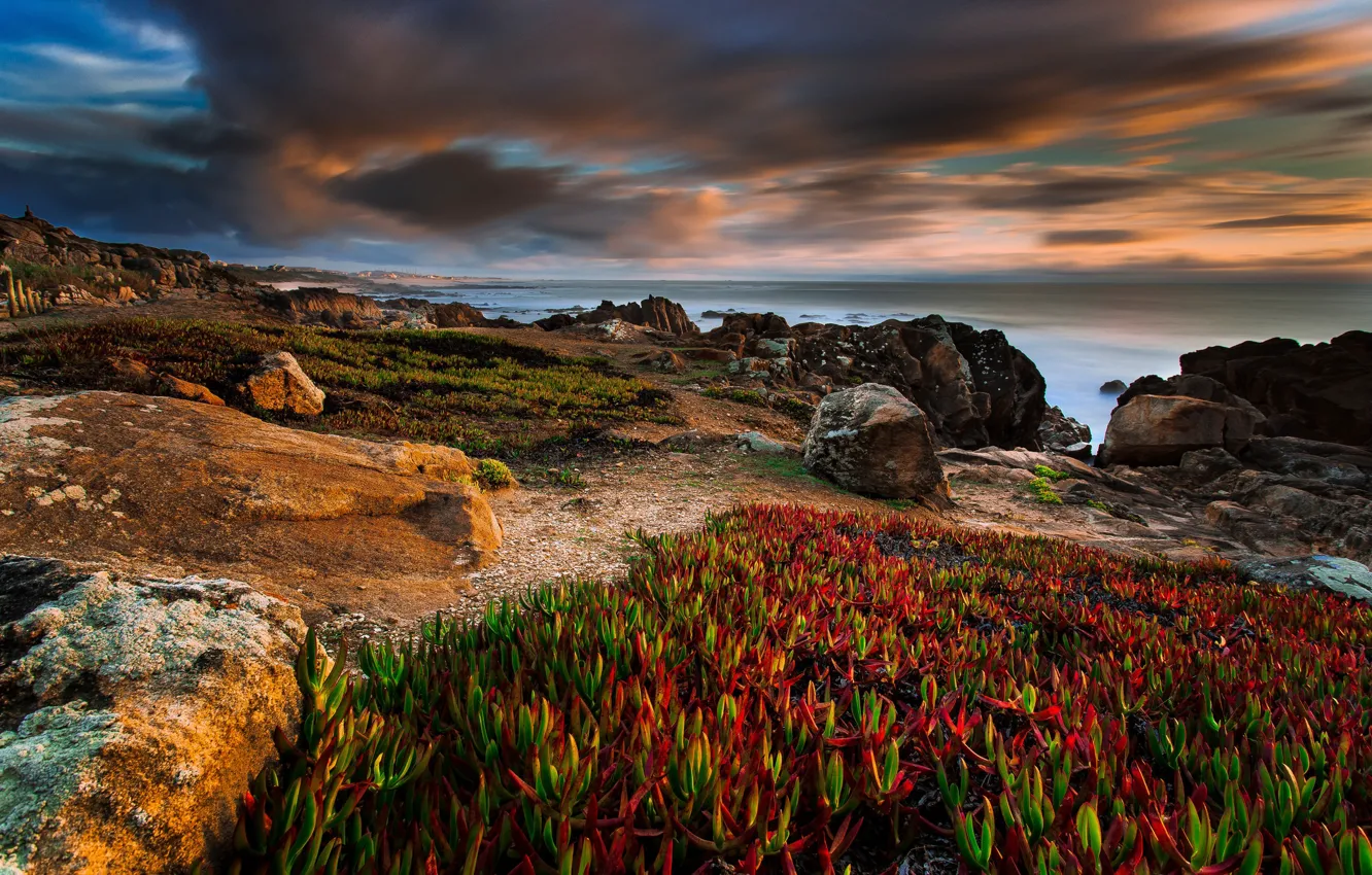 Photo wallpaper stones, shore, vegetation, bright colors