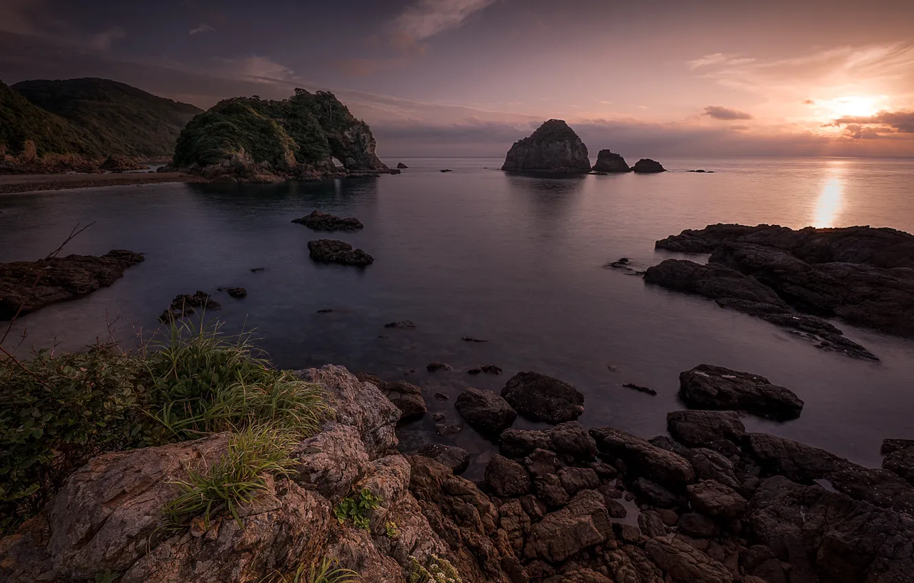 Photo wallpaper sea, the sky, grass, water, the sun, clouds, light, landscape