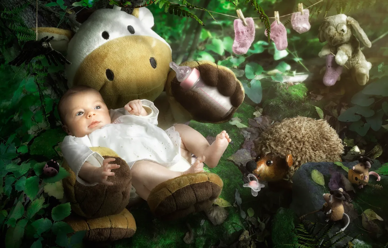 Photo wallpaper toys, nipple, child, baby, booties, dummy