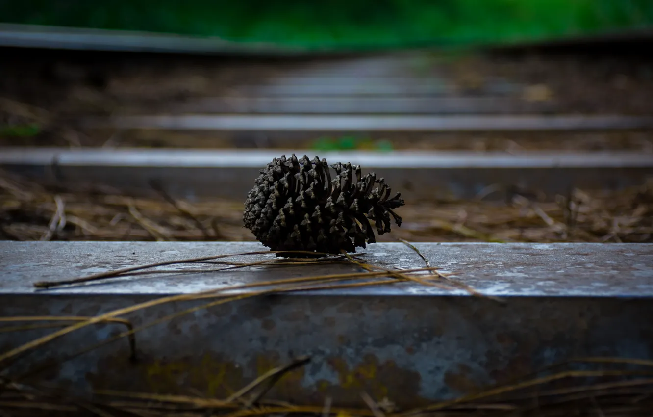 Photo wallpaper autumn, railroad, sleepers, bumps