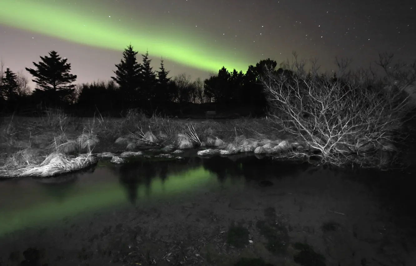 Photo wallpaper night, nature, lake, lights
