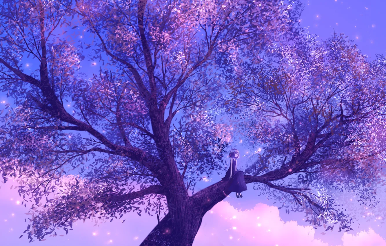 Photo wallpaper girl, twilight, sitting tree