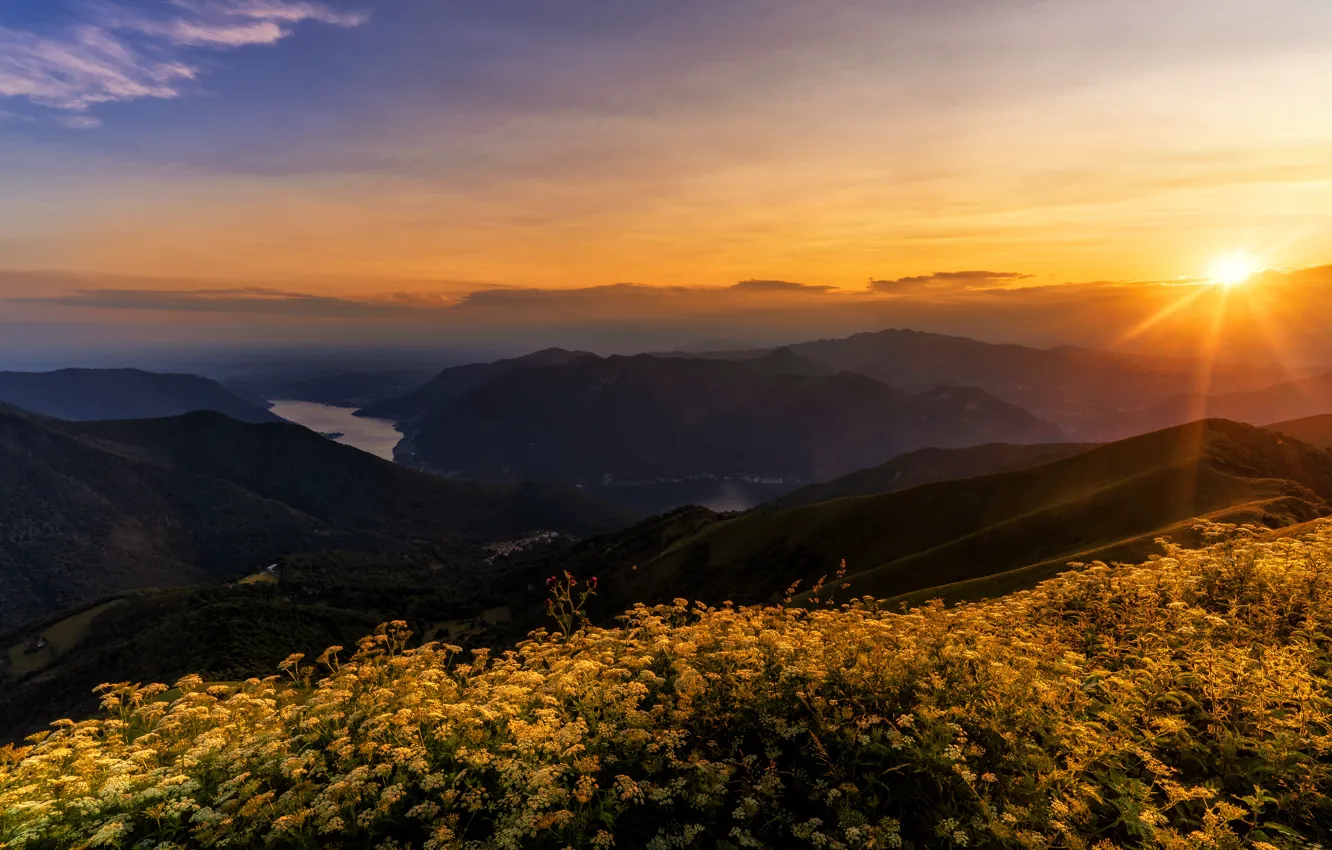 Photo wallpaper summer, the sky, the sun, clouds, rays, sunset, flowers, mountains