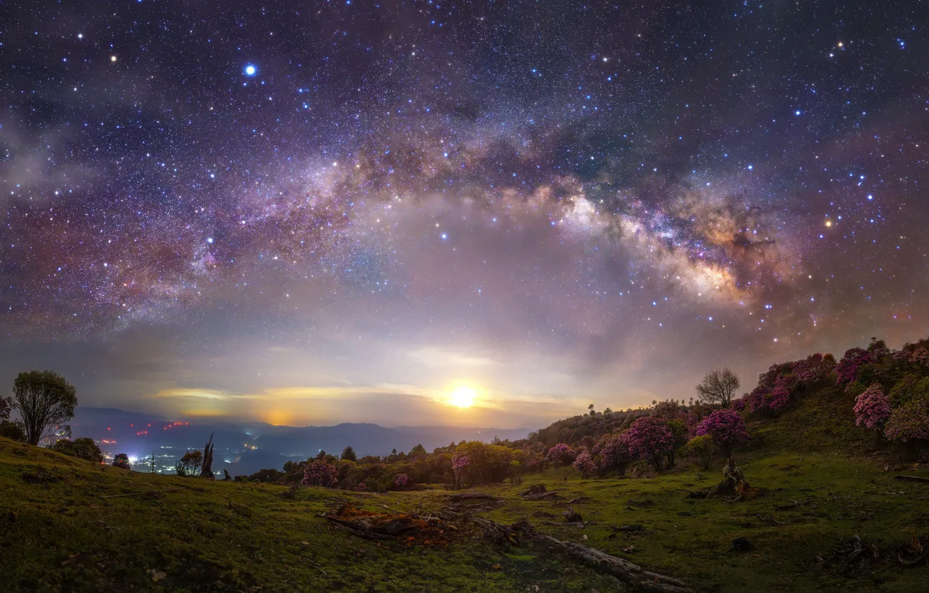 Photo wallpaper field, forest, night, the milky way
