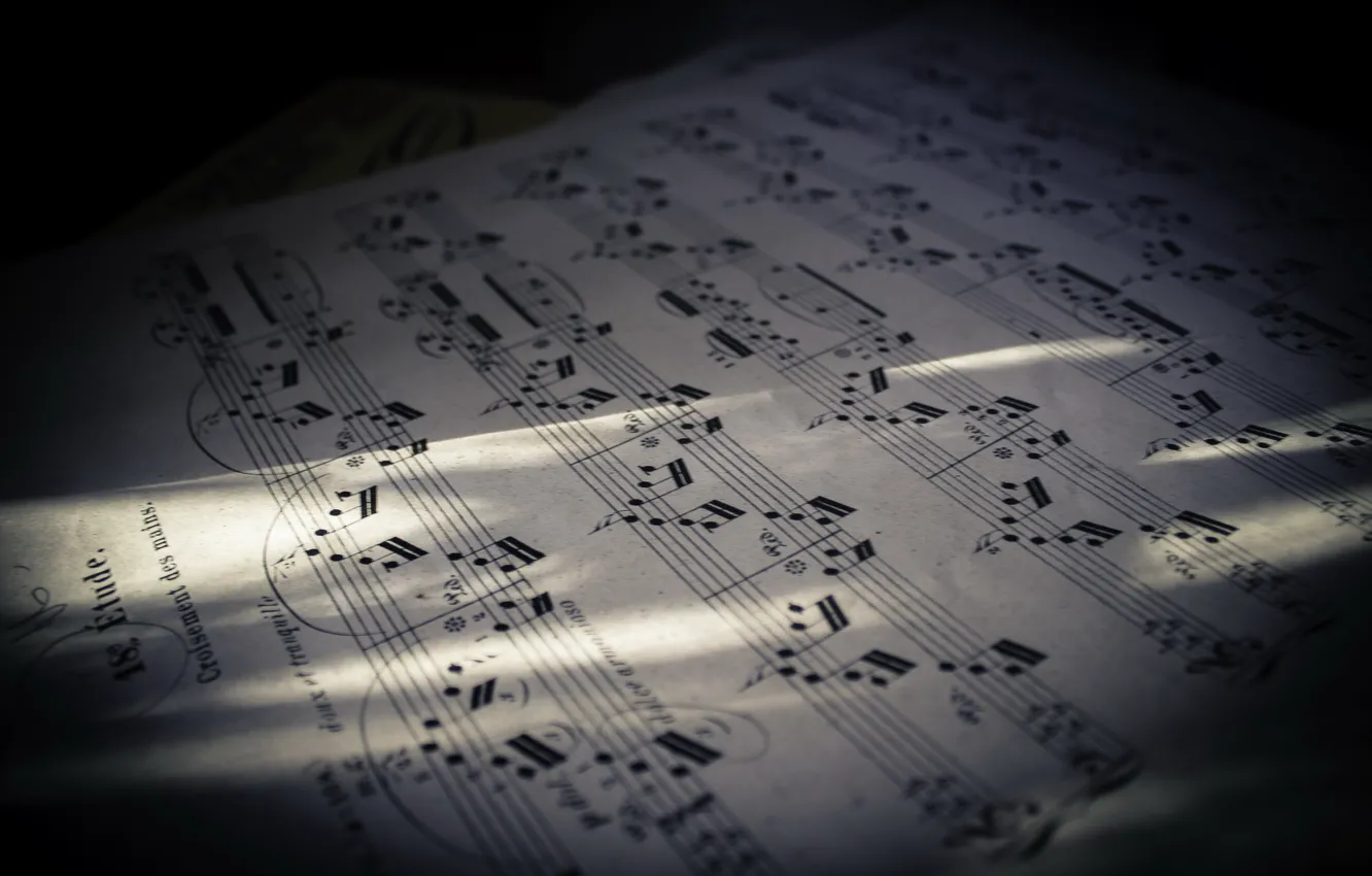 Photo wallpaper macro, notes, music