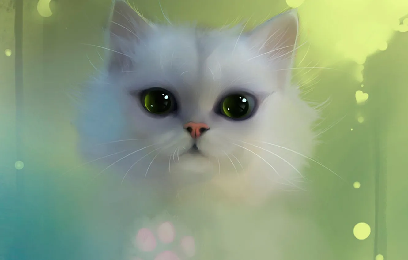 Photo wallpaper white, eyes, cat, apofiss