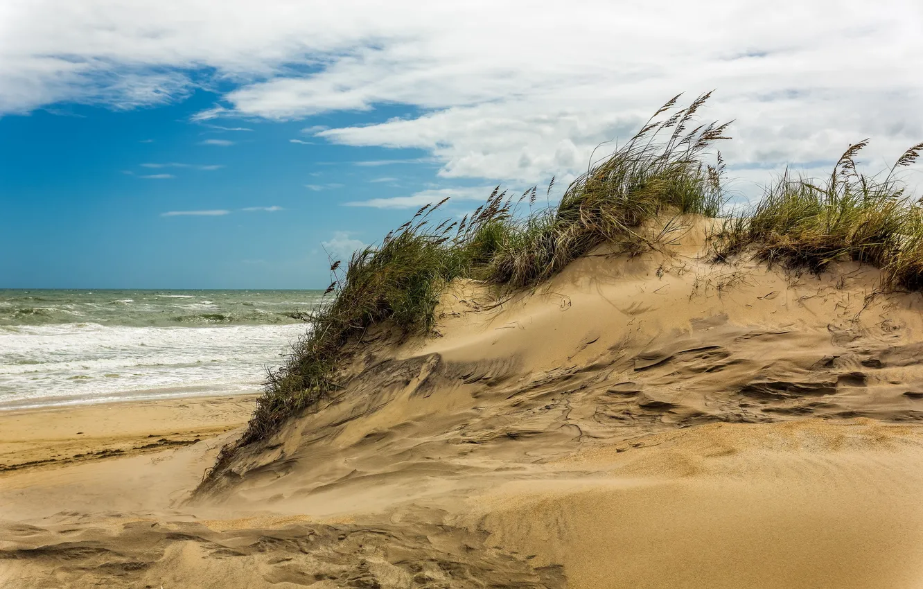 Photo wallpaper sea, nature, dunes