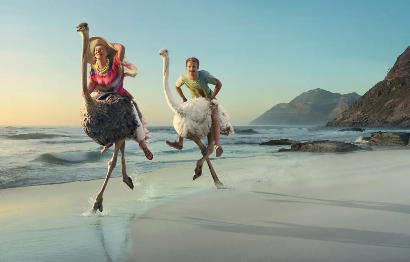 Photo wallpaper sea, woman, the game, Shore, male, two, ostriches
