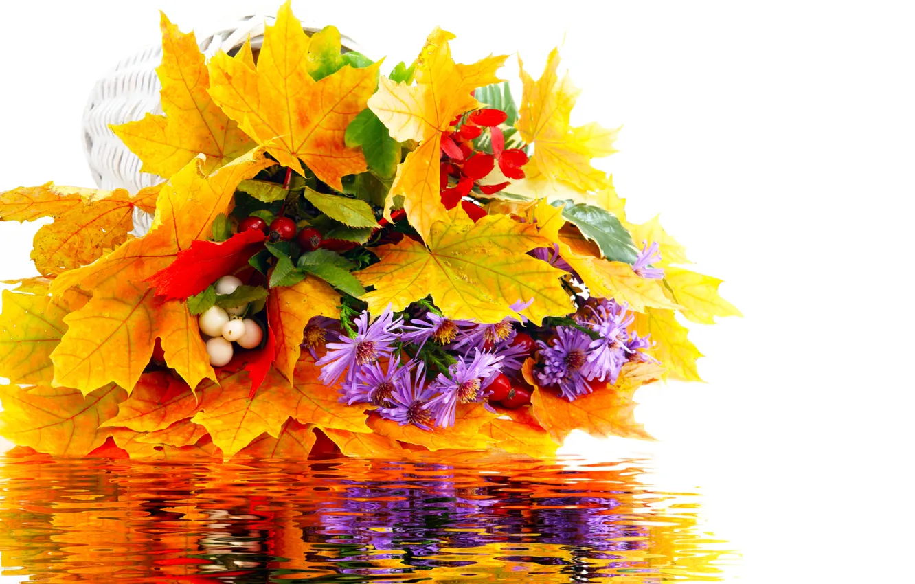 Photo wallpaper autumn, leaves, water, flowers, reflection, bouquet