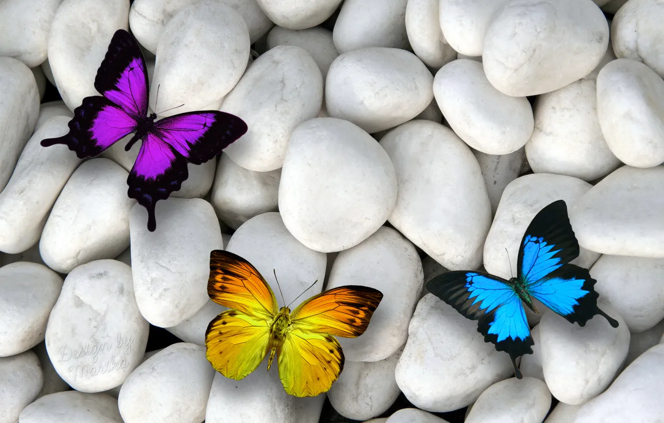 Photo wallpaper butterfly, stones, colorful, butterflies, design by Marika, white stones