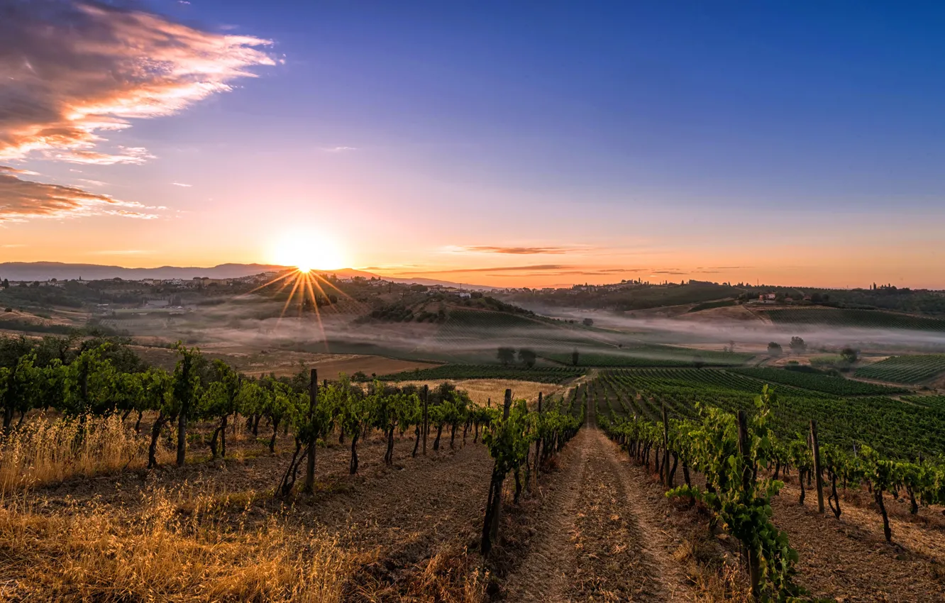 Photo wallpaper the sky, the sun, rays, trees, fog, dawn, hills, field