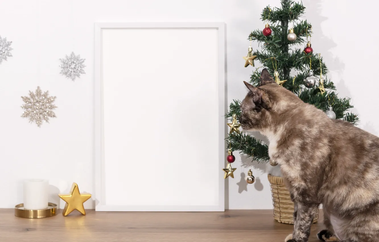 Photo wallpaper cat, cat, new year, Christmas