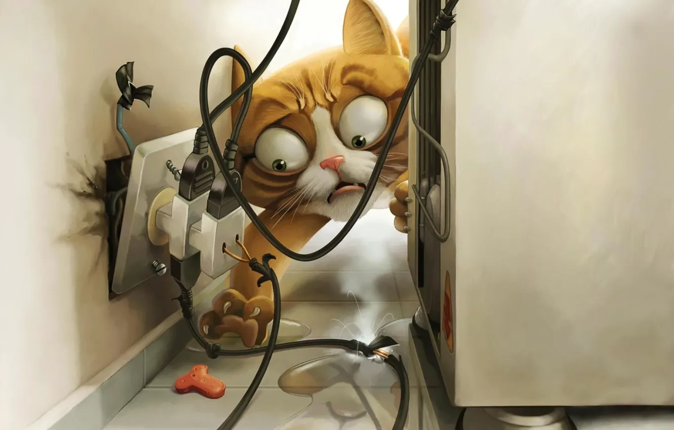Photo wallpaper eyes, cat, figure, outlet, food, current