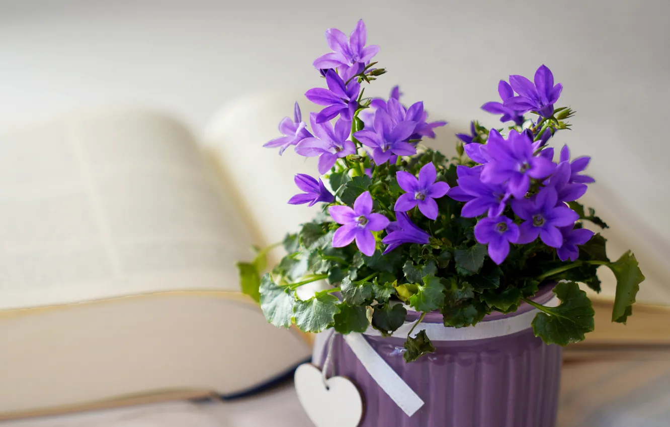 Photo wallpaper flowers, heart, bouquet, pot, book, bells, light background, field