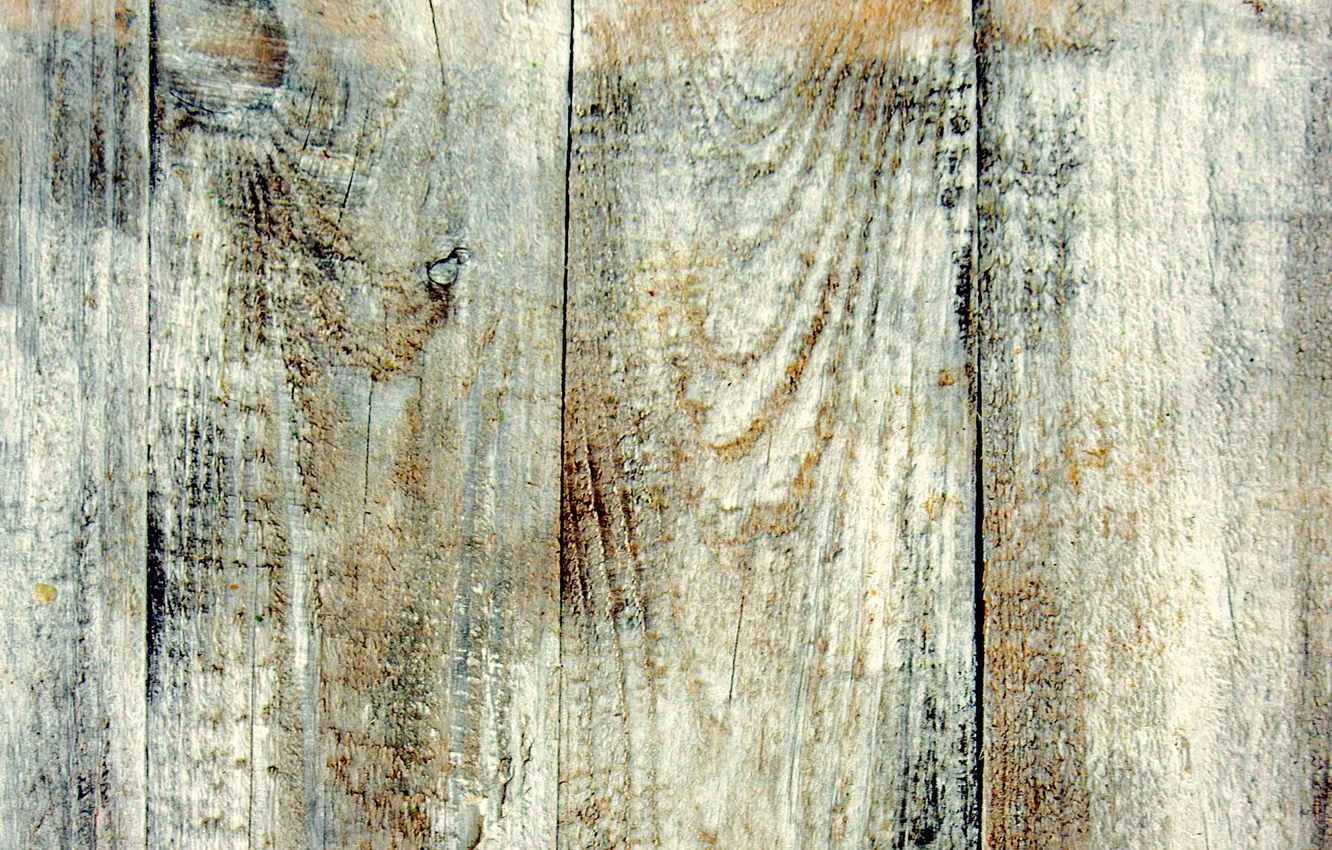 Photo wallpaper color, wood, texture
