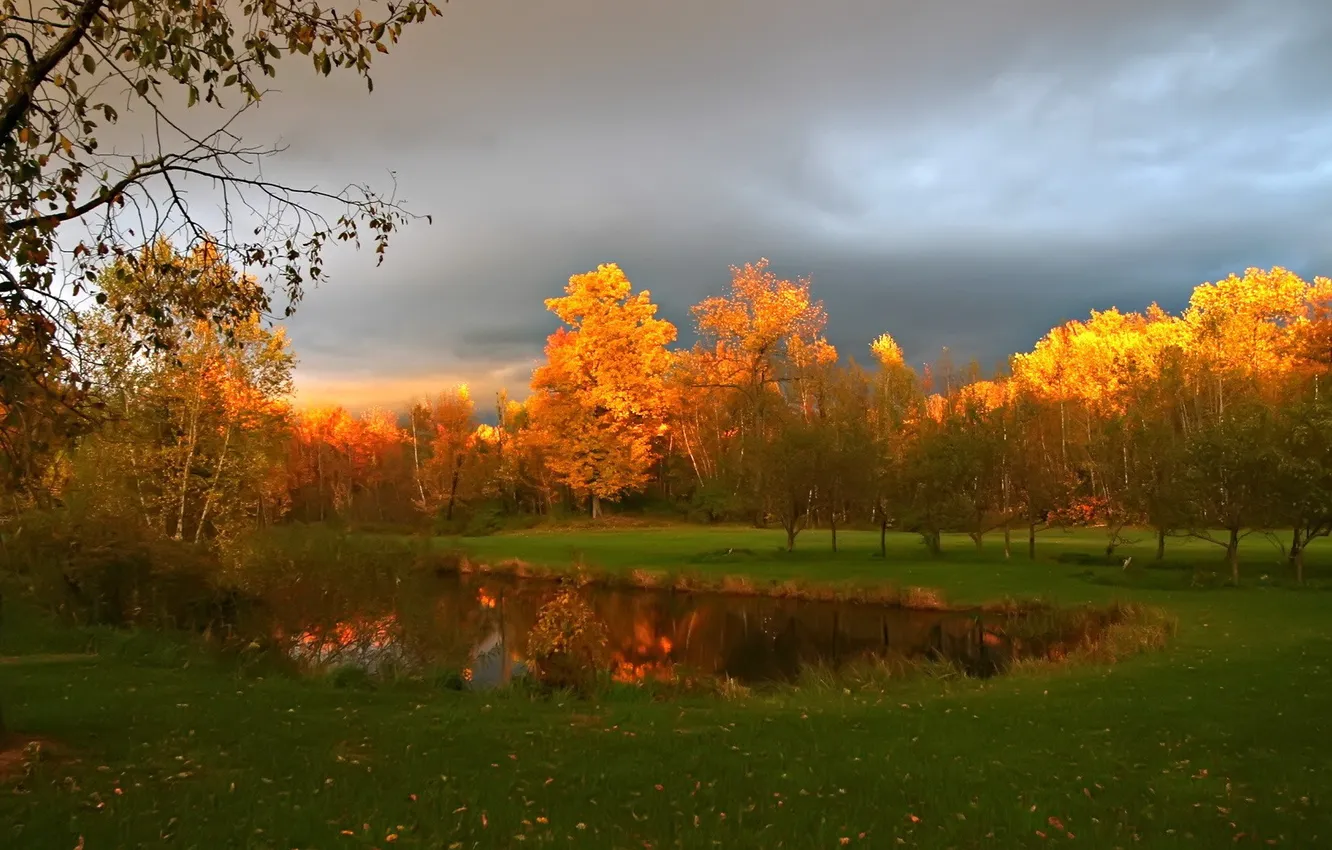 Photo wallpaper autumn, grass, trees, lake, overcast