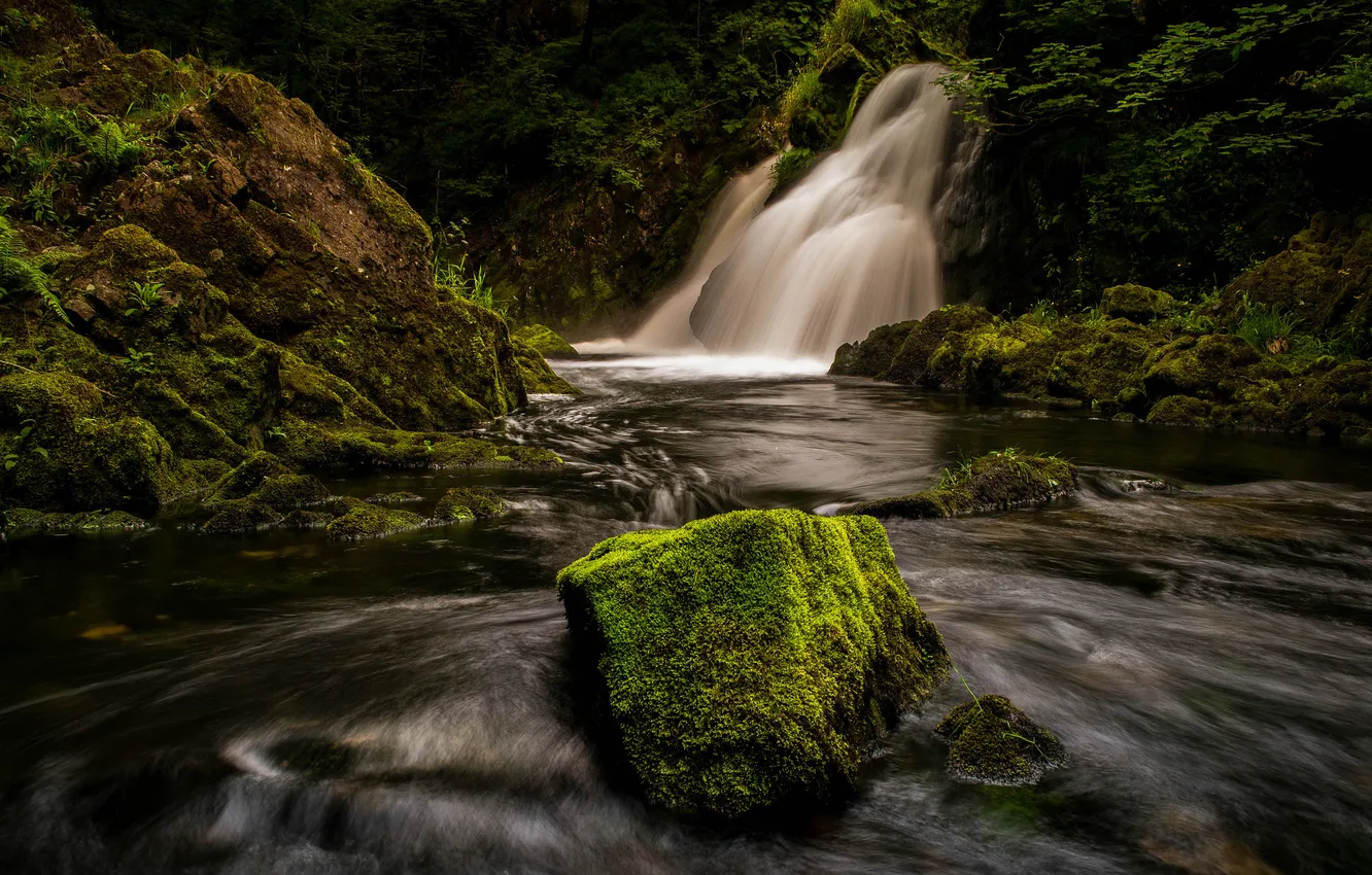 Photo wallpaper river, stone, waterfall, moss, stream