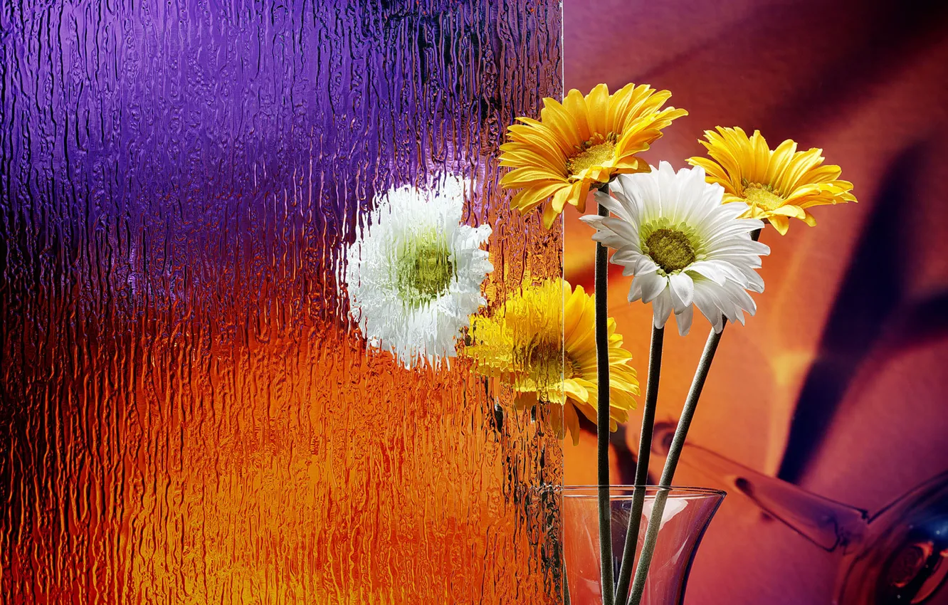 Photo wallpaper chamomile, beauty, bouquet