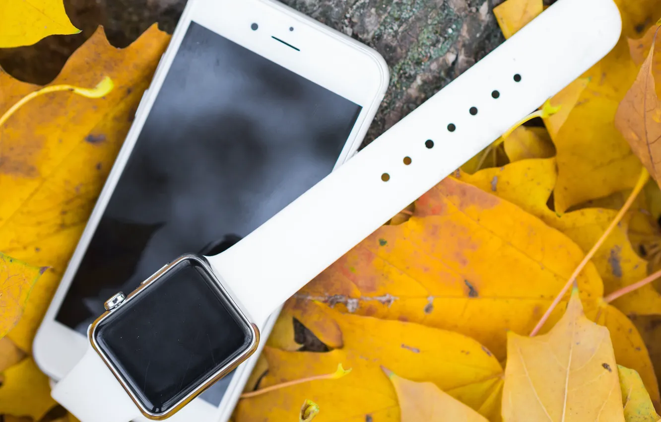 Photo wallpaper autumn, leaves, watch, phone