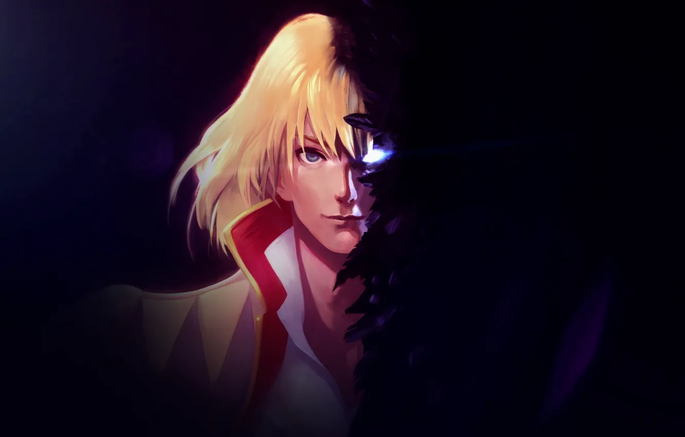 Photo wallpaper eyes, the dark background, feathers, guy, Howl's moving castle, Howl's Moving Castle, Howl