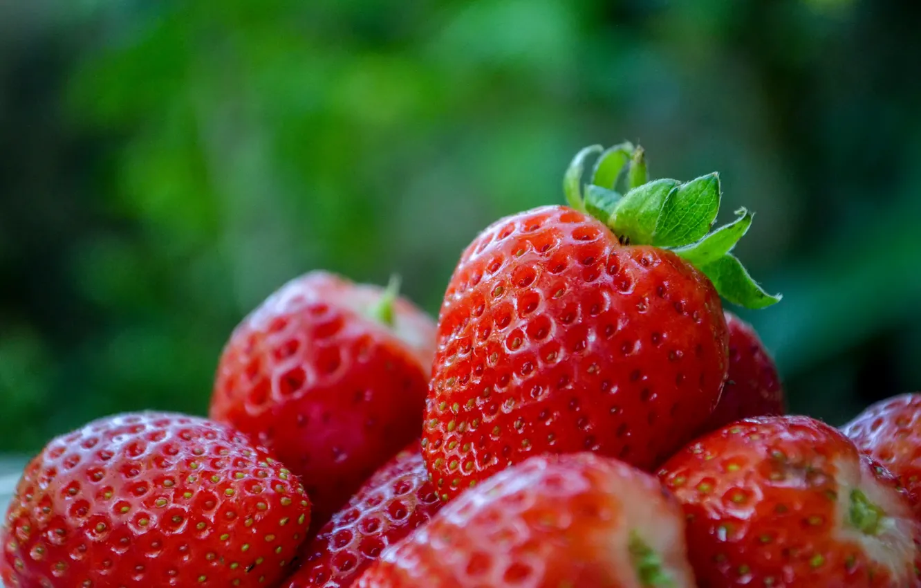 Photo wallpaper summer, berries, strawberry