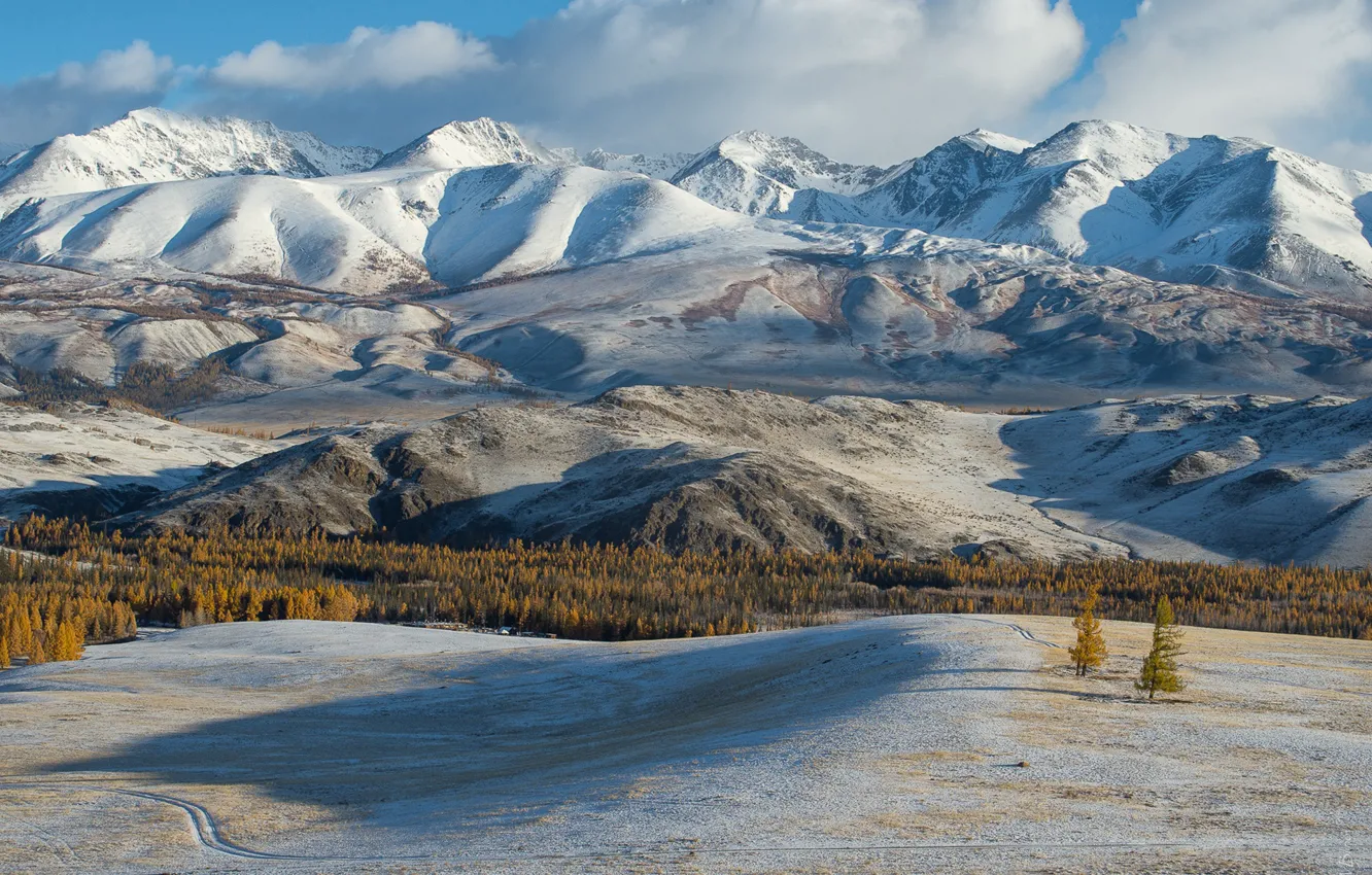 Photo wallpaper mountains, Altay, Kurai ridge