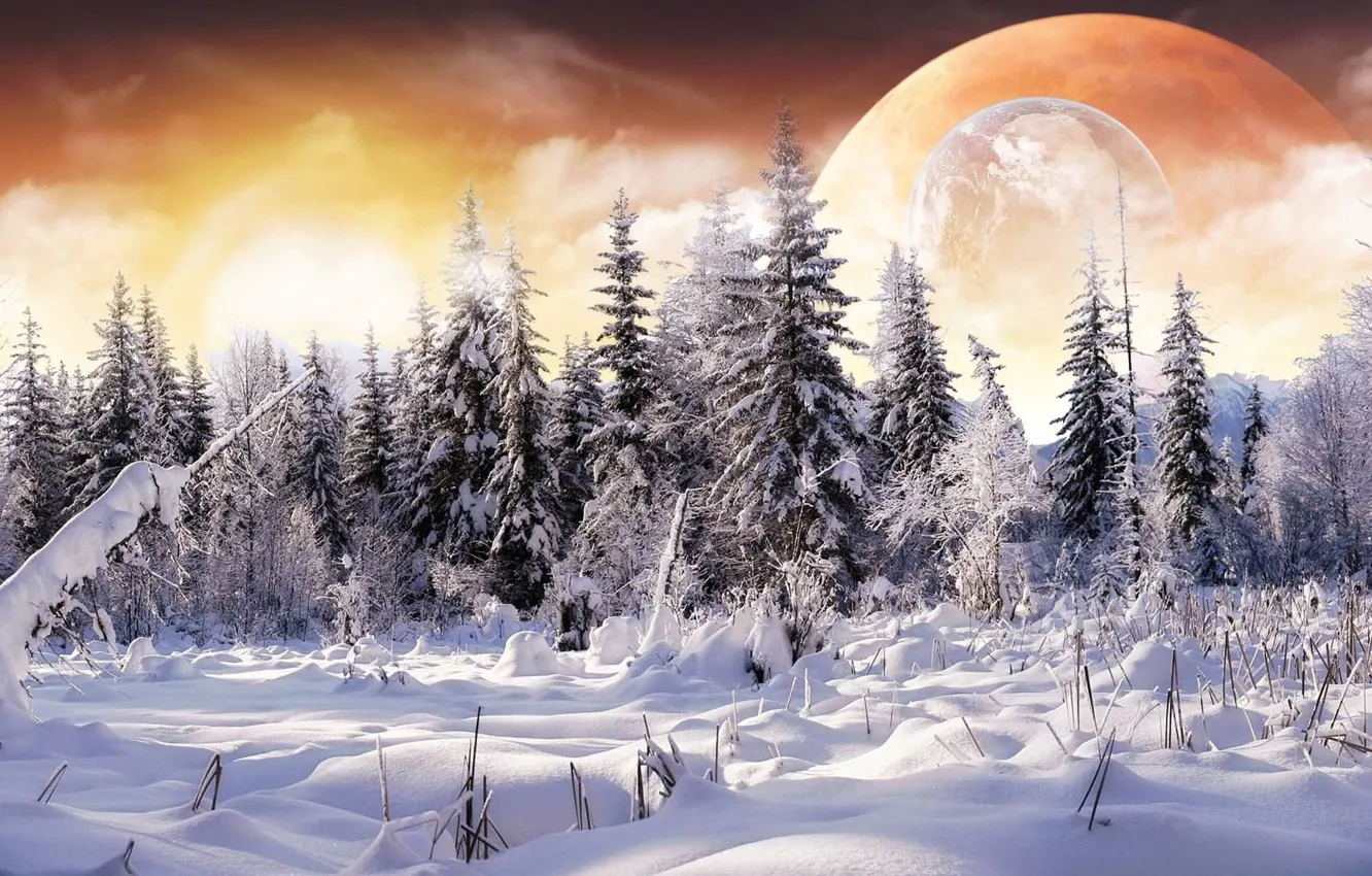 Photo wallpaper winter, forest, snow, collage, planet