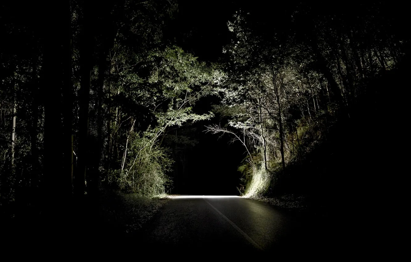 Photo wallpaper road, forest, night