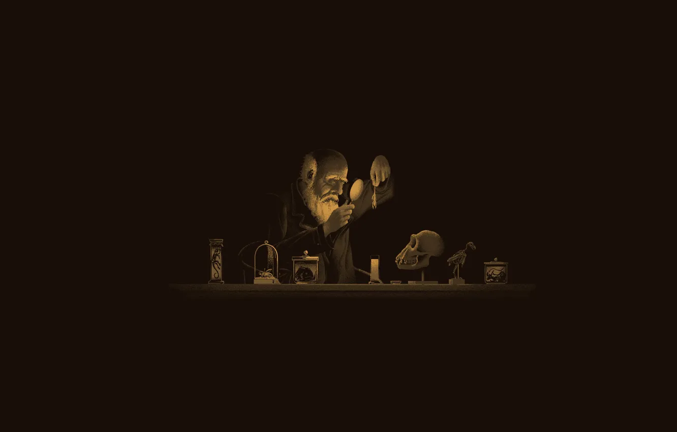 Photo wallpaper background, minimalism, art, Darwin, Charles Darwin, Pierre Lbrr, by Pierre Lbrr