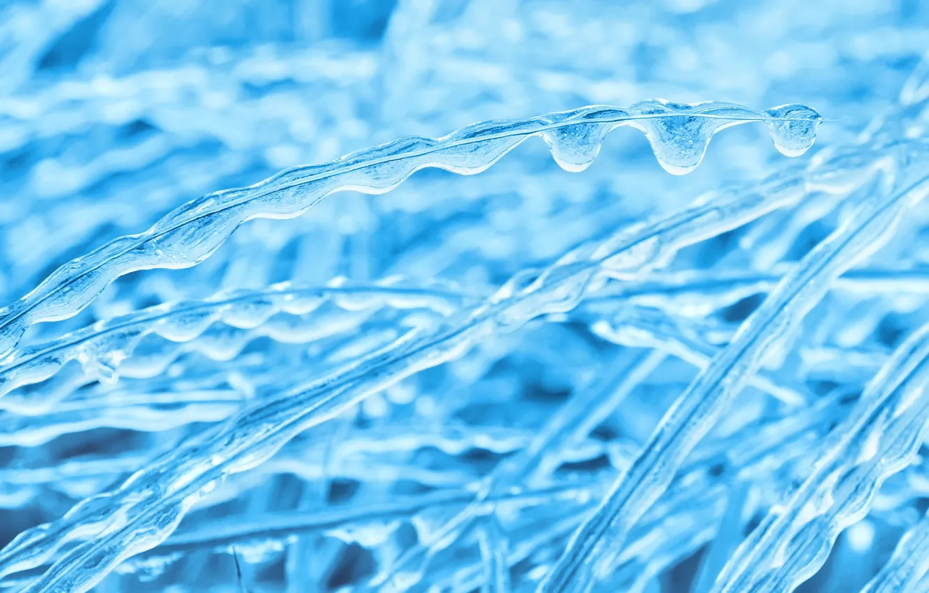 Photo wallpaper ice, winter, grass, blue