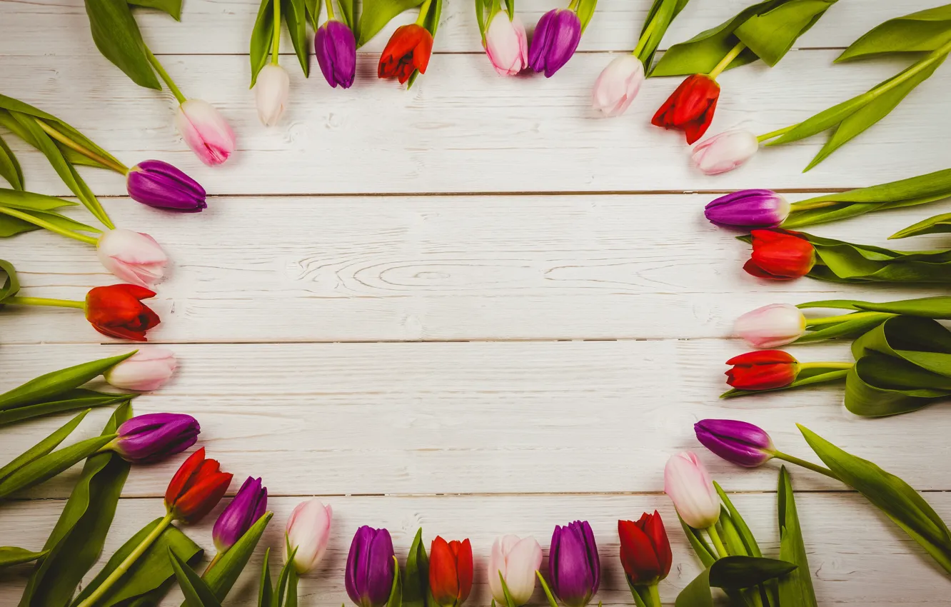 Photo wallpaper flowers, colorful, tulips, red, white, wood, flowers, tulips