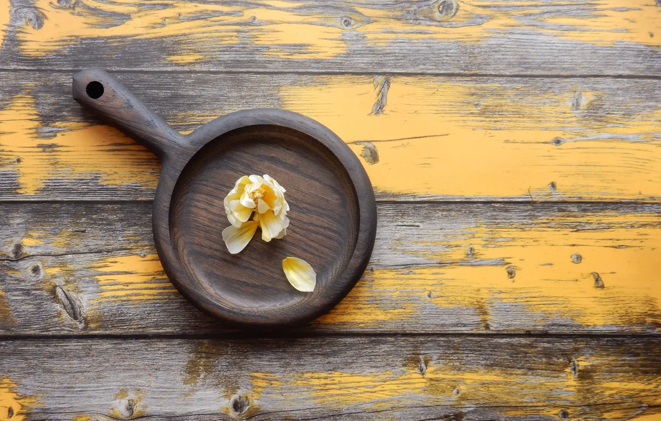 Photo wallpaper flowers, spring, tulips, widescreen, beautiful, background, фон background, romantic