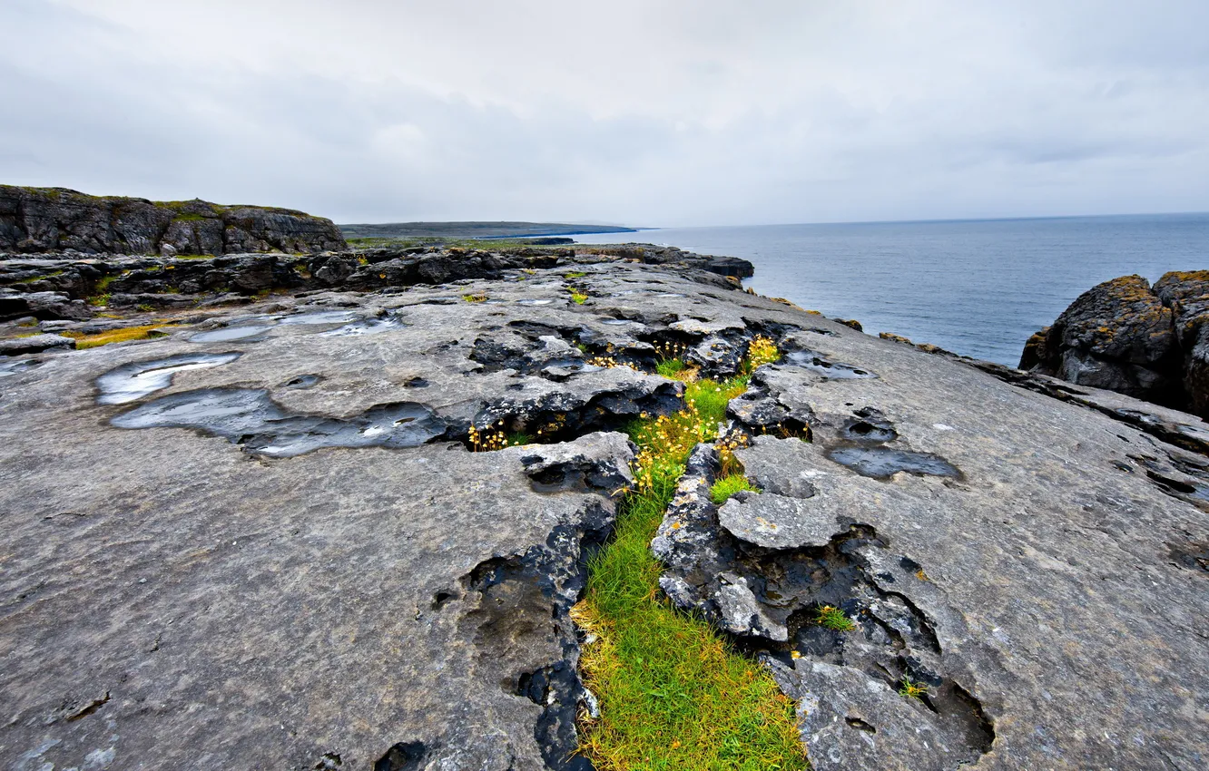 Photo wallpaper sea, grass, rocks