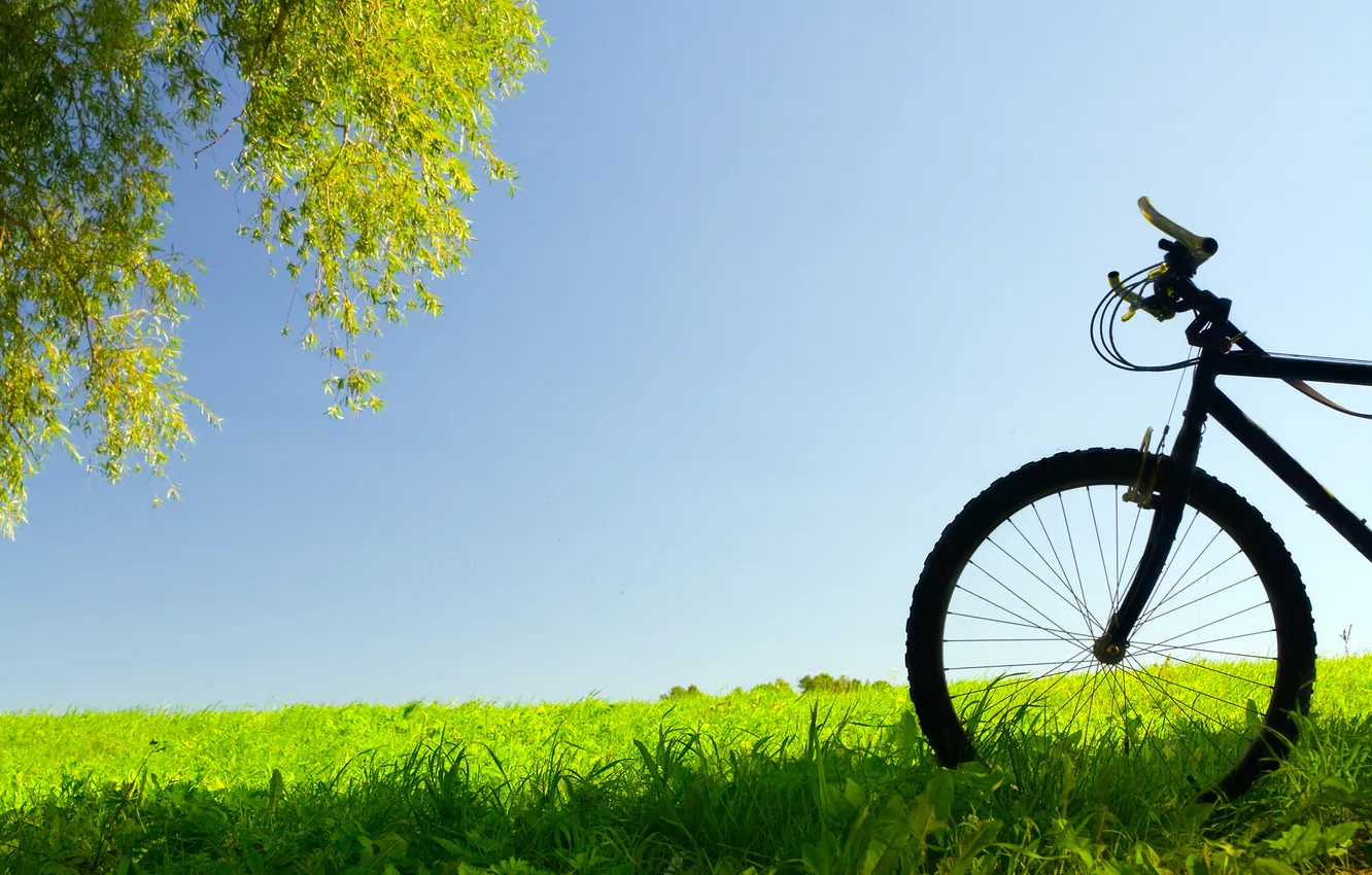 Photo wallpaper grass, leaves, trees, nature, bike, background, mood
