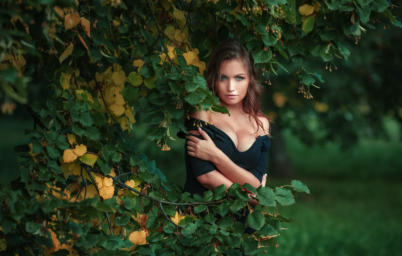Photo wallpaper autumn, summer, look, girl, trees, branches, photographer, Linden