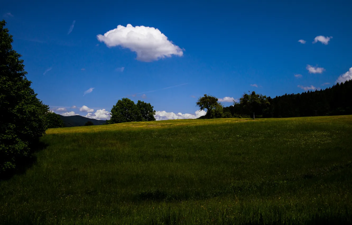 Photo wallpaper Clouds, Sky, Grass, Flowers, Summer, View, Trees, Meadow