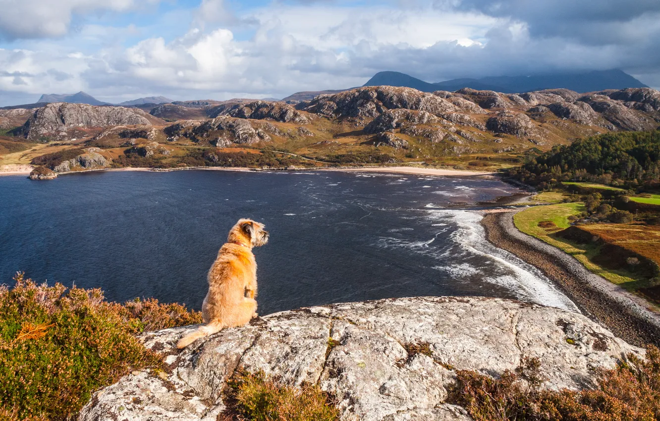Photo wallpaper sea, beach, clouds, mountains, rocks, dog, rock, beach