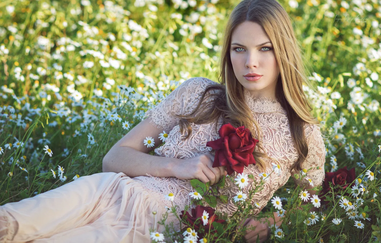 Photo wallpaper look, roses, sponge, Tia Clifton
